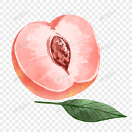 WWW,se457·COM网站APPAPP应用